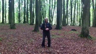 Q i g o n g   F l o w Chen Taiji Bern - Taiji | Qiong | Kungfu
