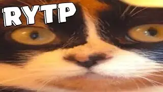 Slivki Show [Сливки Шоу] |RYTP