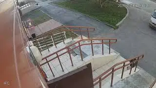Мещанские будни #5