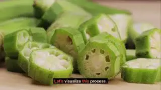 The Ultimate Guide to Growing Okra Plants