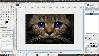 Как изменить размер изображения в Гимп - увеличить или уменьшить. Урок Gimp для новичков