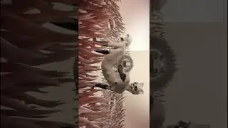 ODDKO - VFX Breakdown, Shot No. 3