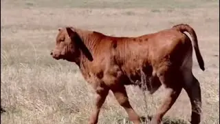 1 ноября 2024 г.