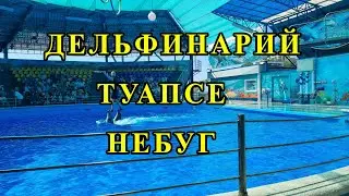Дельфинарий#туапсе#небуг
