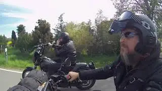 Friends on Tour