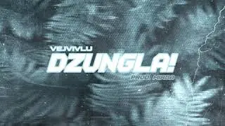vejvivlu - dzungla !