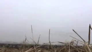Oklahoma duck hunt 8 man limit