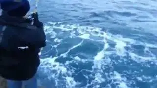 Çanakkale At-çek Avcıları Torik Avı
