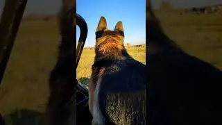 Застрял на багги в очень красивом месте)