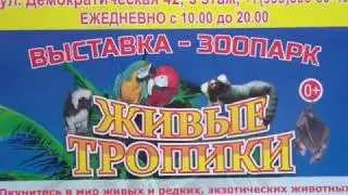 Адлер.  Выставка-зоопарк Живые тропики
