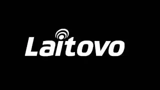 Автошторки Laitovo, установка на  Lexus RX 4 Кроссовер 5 (2015 - н.в.) AL20