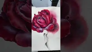 Роза акварелью и мокрый уголь