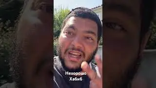Обращение к Хабибу Нурмагомедову после Теракта в Дагестане #shorts