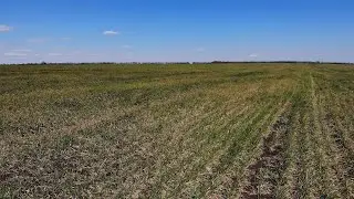 Засуха в одесской области / ТАЙМЕР