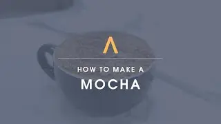 Mocha: A Guide by Evolve North Coffee Roasters