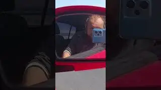#cat #animal #food #funny #strawberry #automobile #car #fruit #offroad #pet под музон