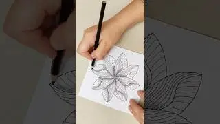 Zendala. Meditative drawing. #shorts @OlyashaArt