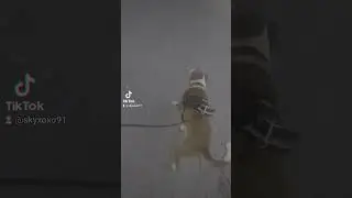 taking a walk