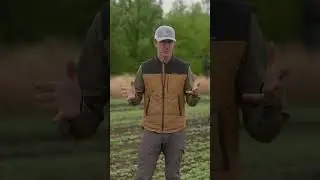 What is Companion Cropping? | Building Whitetails | SPYPOINT #shorts