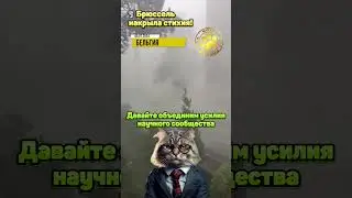 🌪️ Брюссель накрыла стихия!