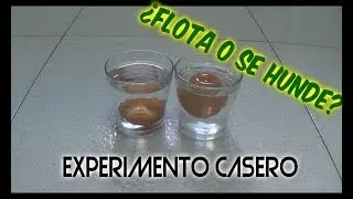 Experimentos caseros: Huevo que flota y se hunde. La densidad