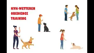 Obedience/Gehoorzaamheid Dog/Puppy Training -INSTA360- Koninklijke Verdedigingshond Wetteren KVH #10