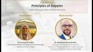 Doppler US in Gyn & Obs Workshop 2024: 1) Principles of Doppler, Dr. Somayya M. Sadek