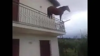 Juan😡 (MEME ORIGINAL)