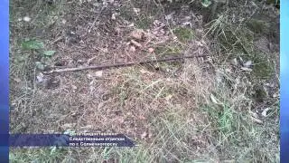 В сельском поселении Пешковское убита девушка. 09.2014