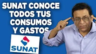 SUNAT conoce todos tus CONSUMOS y GASTOS: Aprende a FORMALIZAR tus ingresos