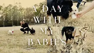 VLOG #12: A DAY WITH MY BABIES | MEET MY TWO BEAUTIFUL GIRLS