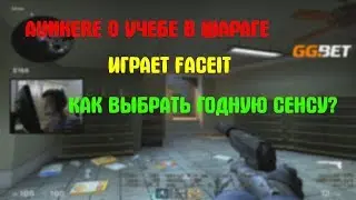 AUNKERE РАССКАЗЫВАЕТ ОБ УЧЕБЕ В ШАРАГЕ // КАК ВЫБРАТЬ ЛУЧШУЮ СЕНСУ ДЛЯ КС?