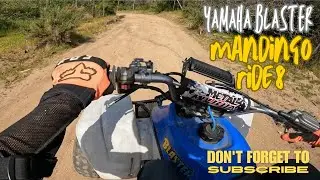 Yamaha Blaster Mandingo Ride 8