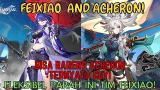 【ID】Ternyata Feixiao bisa satu tim sama Acheron! (Feixiao Tim Comparison)