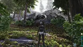 server10base
