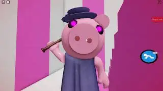 Funny piggy video