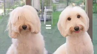 You've been hiding your looks this whole time?