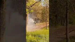 #оренбург 🔥 Огромные клубы дыма запечатлели в парке «Берёзка»