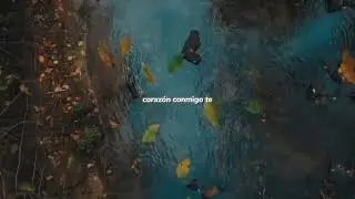 Despacito x Vizhigalil vizhigalil #editaudio #trappodu