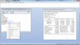 Auxiliary regressions in EVIEWS