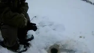 первая