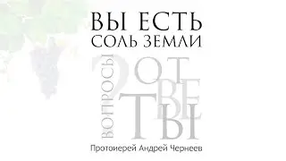 Вы есть соль земли. Христианское отношение к событиям | Протоиерей Андрей Чернеев