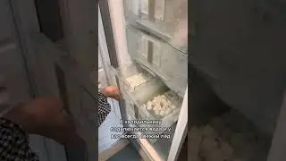 13 сентября 2022 г.