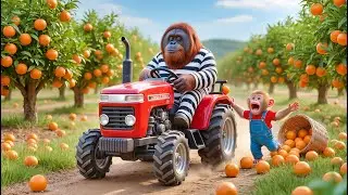 🔥🐒 Monkey NaNa Orange Harvest Turns Into Chaos! He Spots a Farm Thief and Starts a Wild Chase! 🍊🚨💥