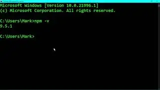 [TUTORIAL] - HOW TO KNOW THE NPM VERSION INSTALLED TO YOUR LAPTOP / PC?