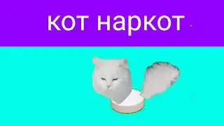 кот наркот (оригинал)