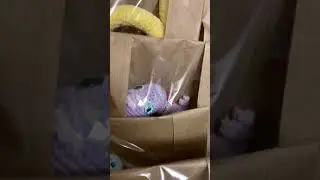 Отправка змей заказчику 