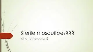 learn about genetically modified, sterile, mosquitoes!