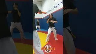 Kicking at CKMA #karate #martialart #kyokushinkarate #karatemoves