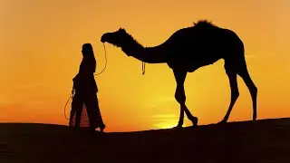 ARABIC REMIX - Desert Trip